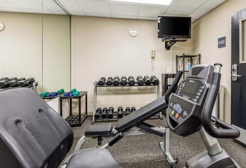 酒店 Quality Inn Airport I240