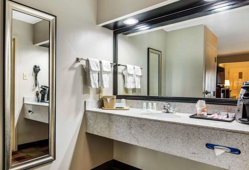 酒店 Quality Inn Airport I240