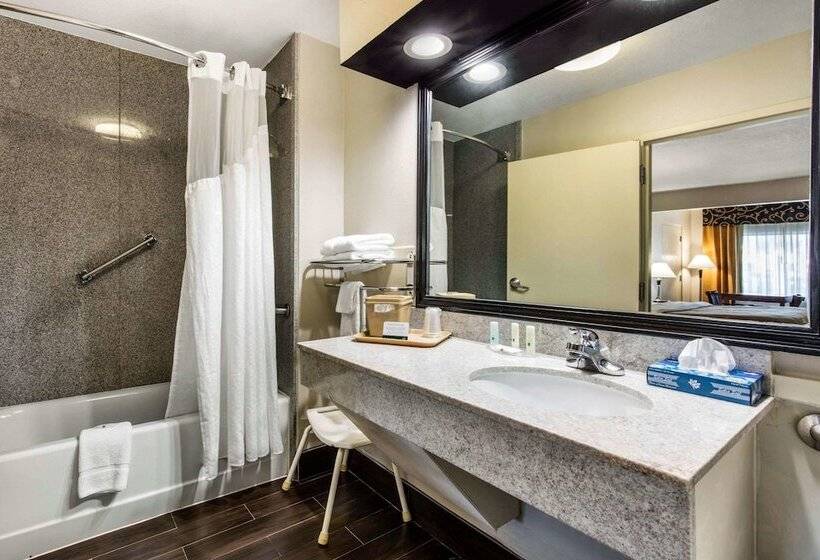 酒店 Quality Inn Airport I240