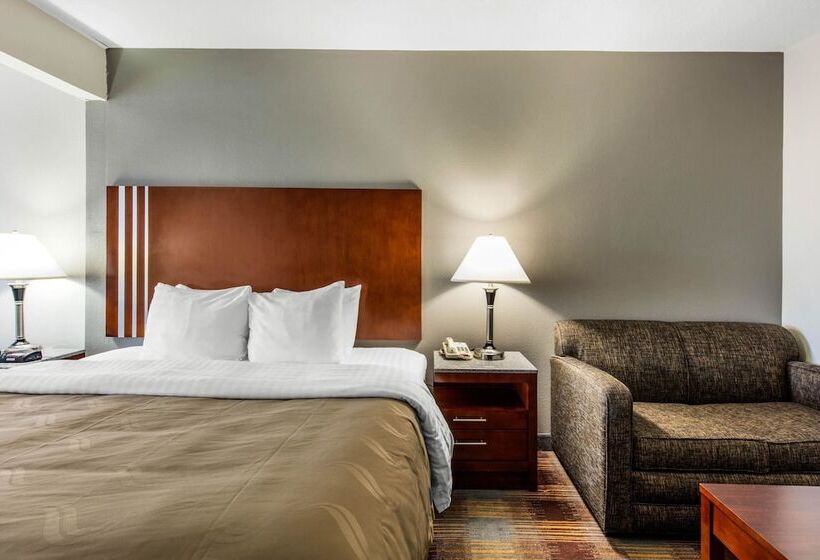 酒店 Quality Inn Airport I240