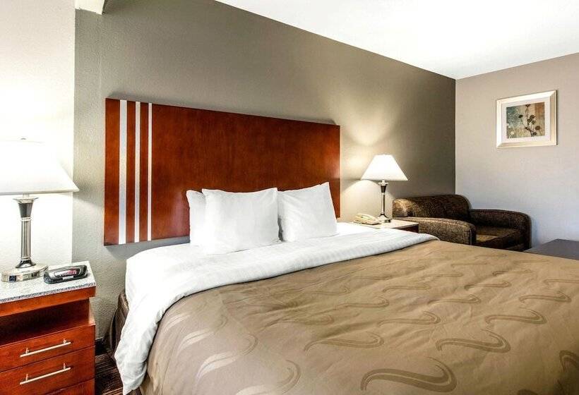 酒店 Quality Inn Airport I240