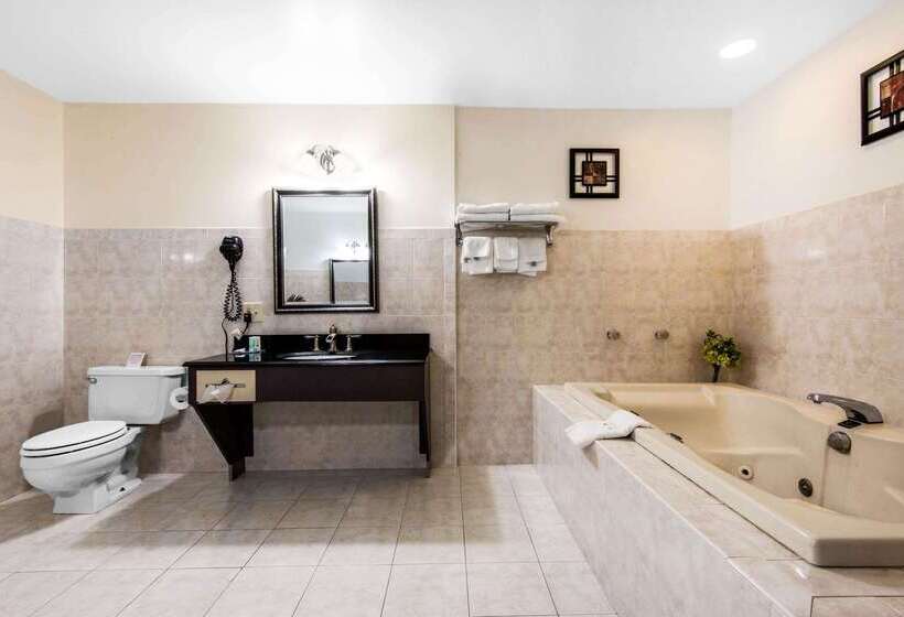 בית מלון כפרי Quality Inn   Niagara Falls Blvd