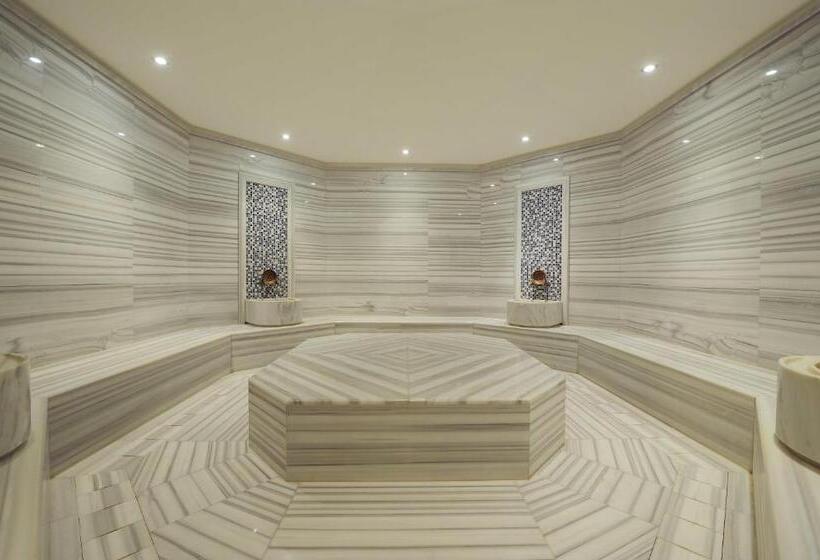 هتل Radisson Blu Bosphorus