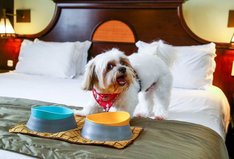 Отель Transamerica Executive Curitiba Batel