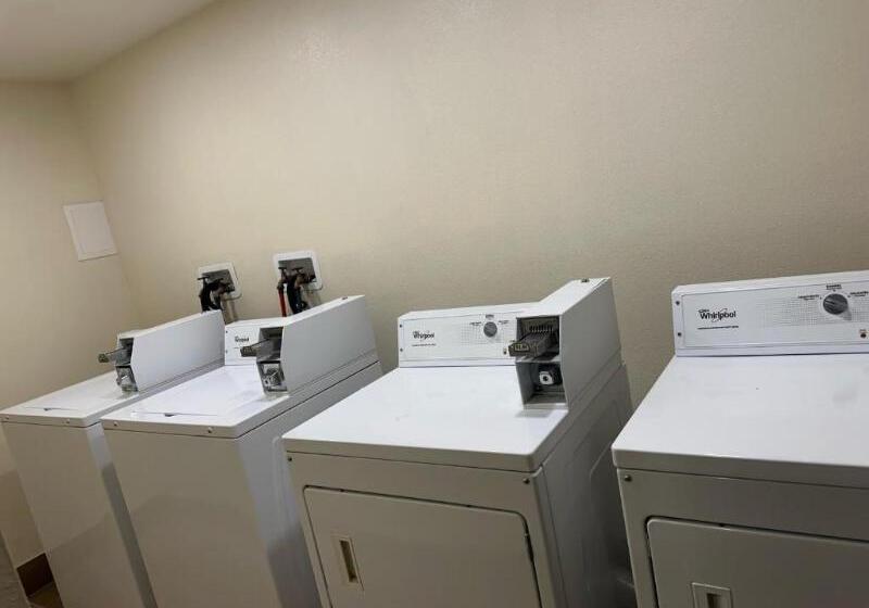 فندق Vista Suites Near Leconte Convention Center