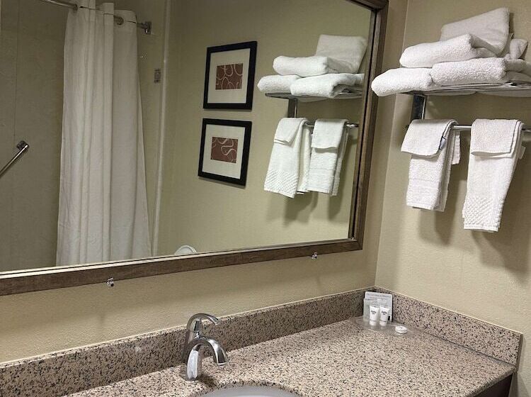 فندق Vista Suites Near Leconte Convention Center