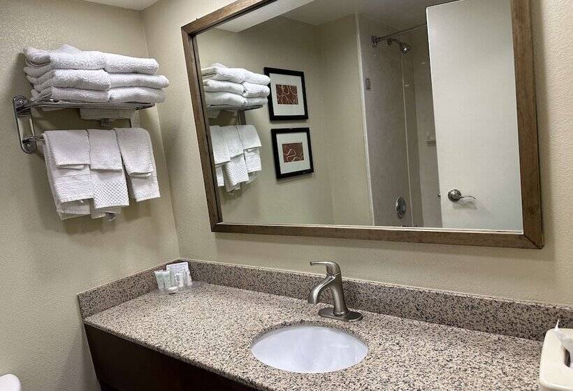 فندق Vista Suites Near Leconte Convention Center