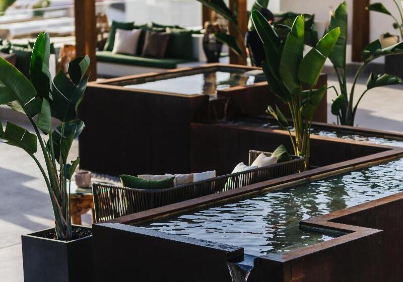 Ohasis Boutique Suites