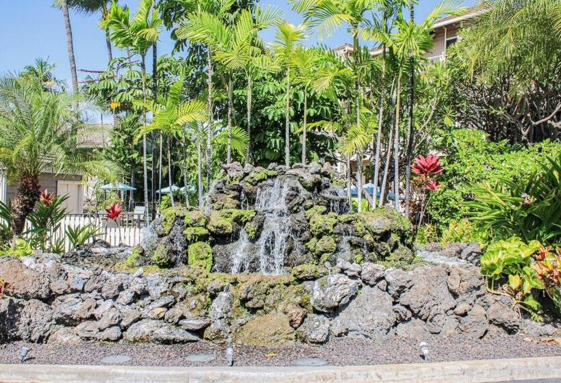 Wailea Grand Champions