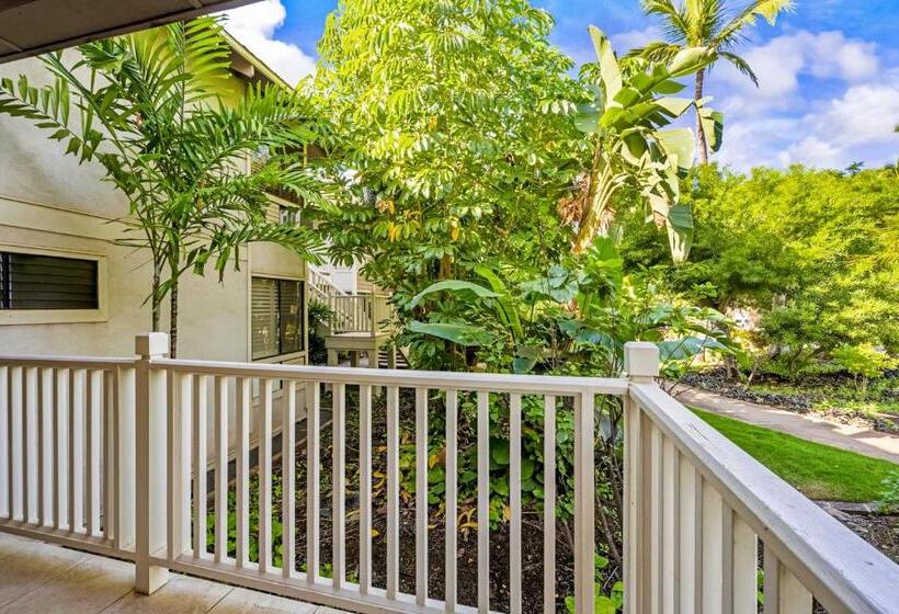 Wailea Grand Champions