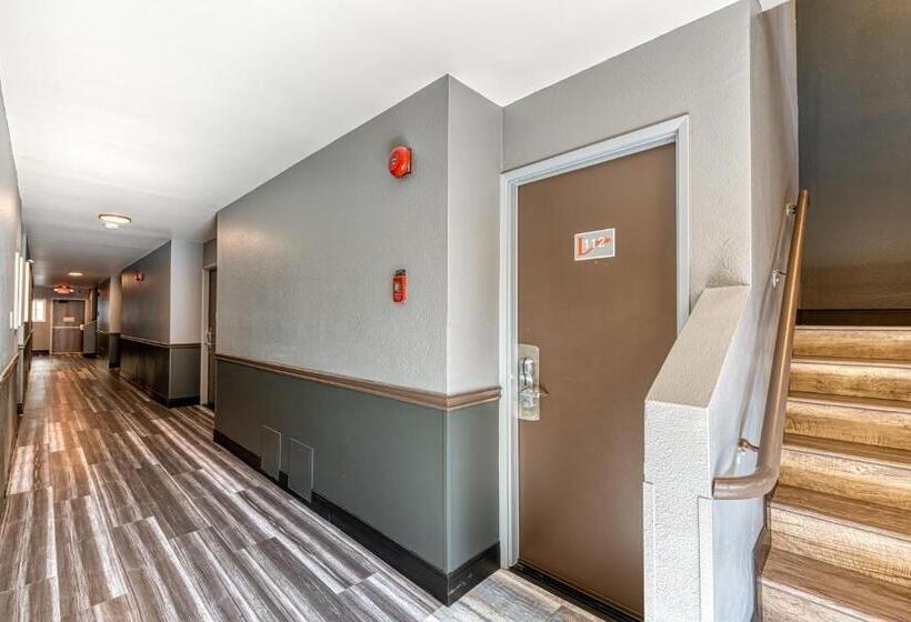 Общежитие La Mirage Inn  Hollywood