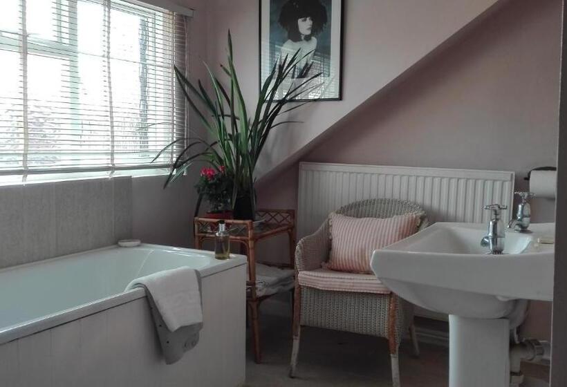 הוסטל The Merlin