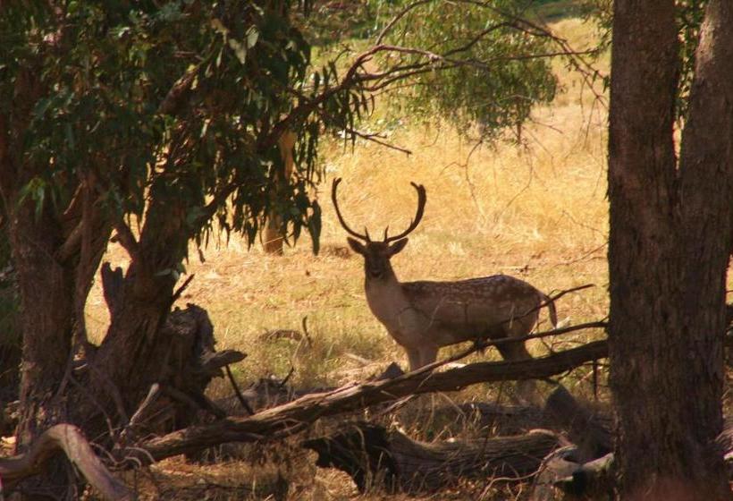 住宿加早餐  Molly S Chase