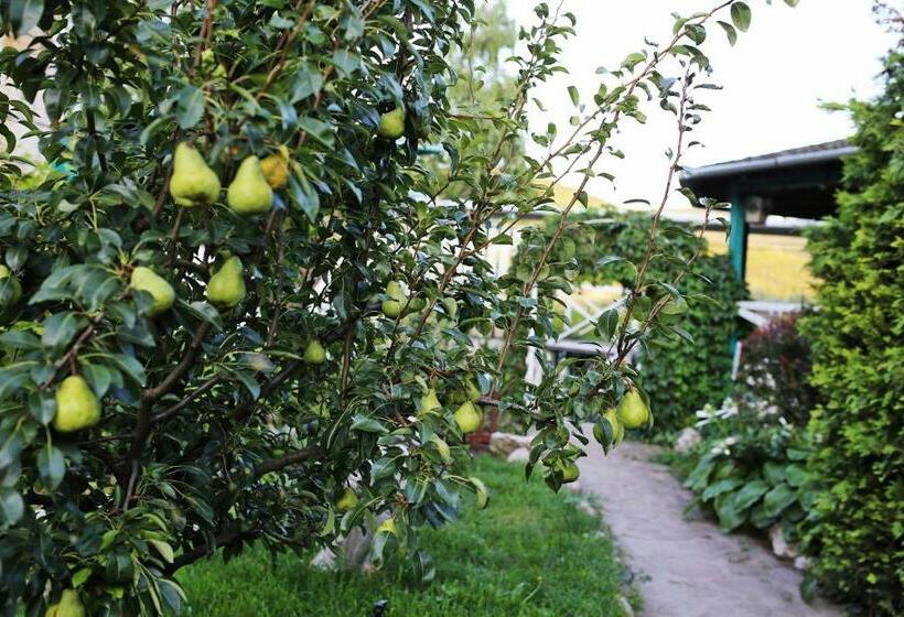 Bed and Breakfast Pm Fogadó