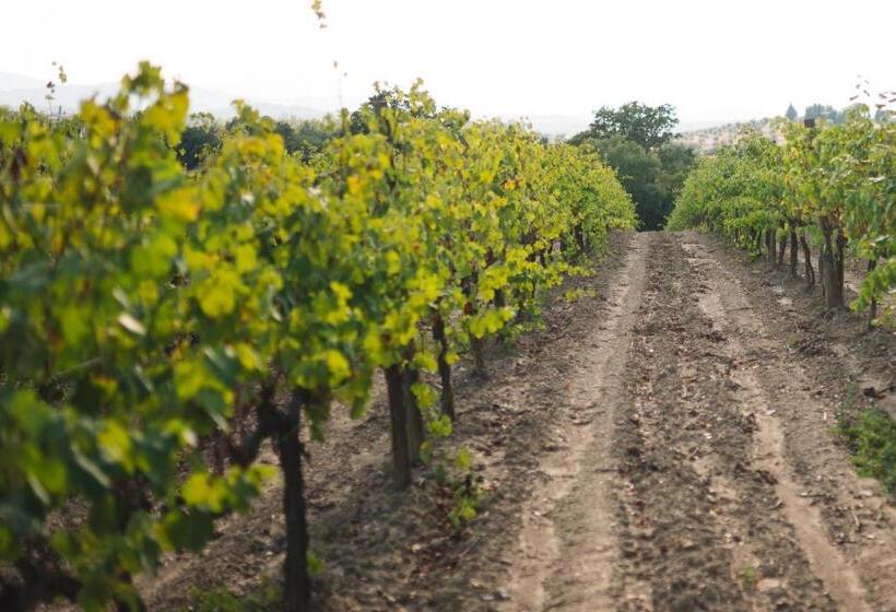 فندق Agriturismo Podere Ristella   Wine&food