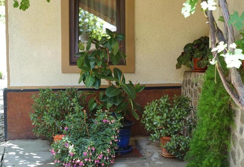 호텔 Casa Ciortea Ana