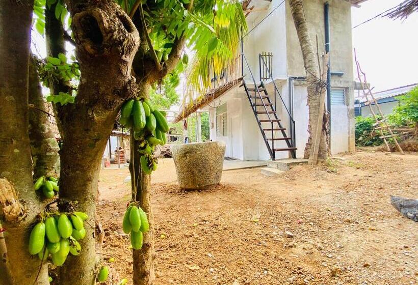 Отель Hiriketiya Orchid Villa