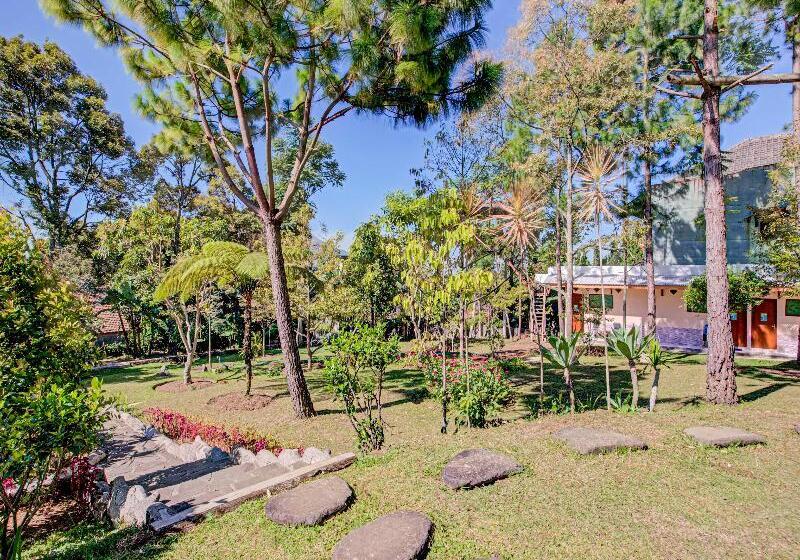 Hotel Oyo 3208 Inn App