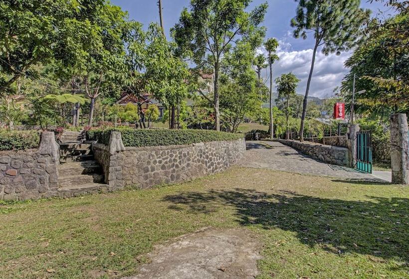 Hotel Oyo 3208 Inn App