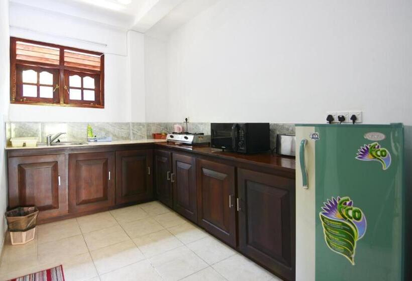 酒店 The Lodge Unawatuna