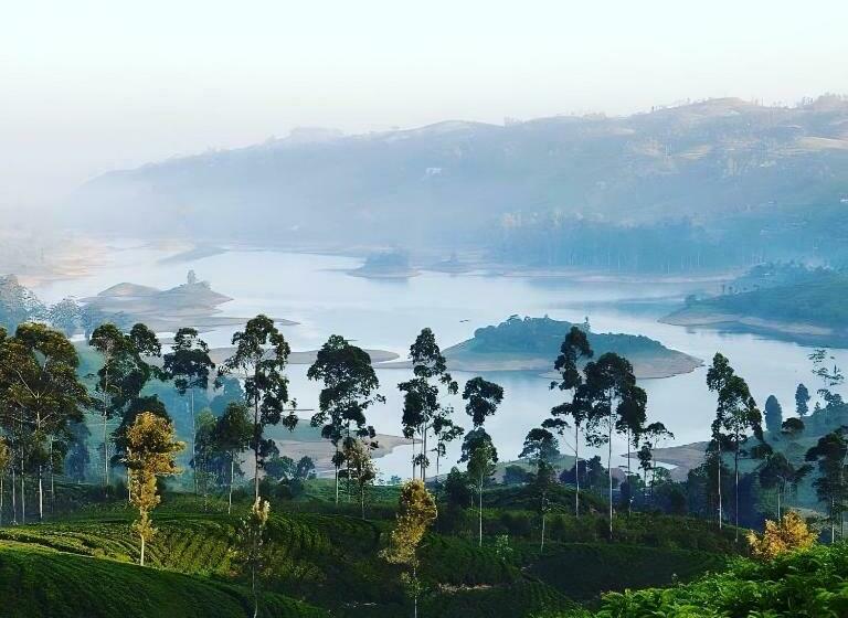 Отель Tea Queens Bungalow