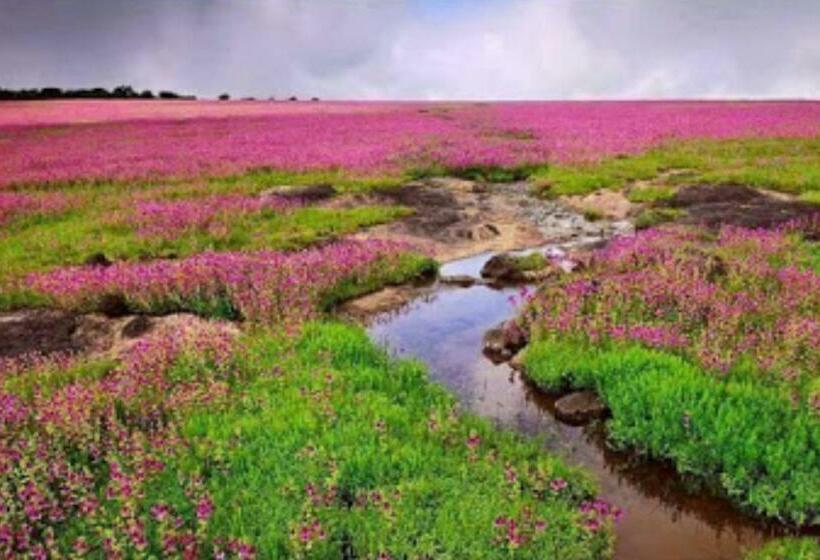 בית מלון כפרי Vamoose Laxmi Hill Resort