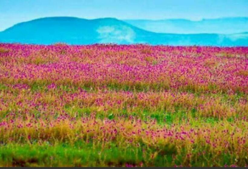 בית מלון כפרי Vamoose Laxmi Hill Resort