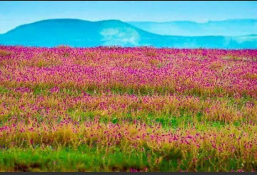 فندق Vamoose Laxmi Hill Resort