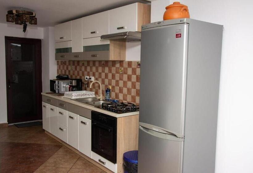 بنسيون Casa Albert Sinaia