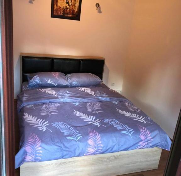 بنسيون Casa Albert Sinaia