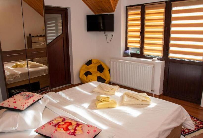 بنسيون Casa Albert Sinaia