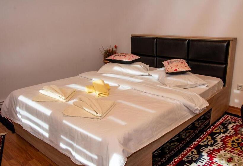 بنسيون Casa Albert Sinaia