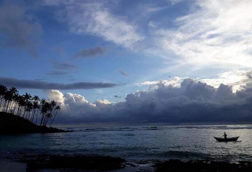 膳宿费 Coconut Reach