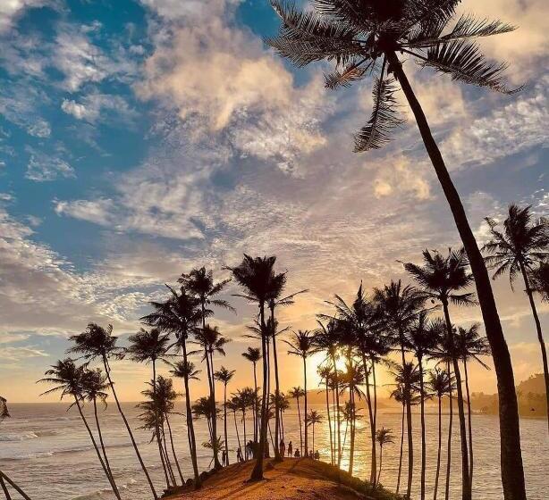 膳宿费 Coconut Reach