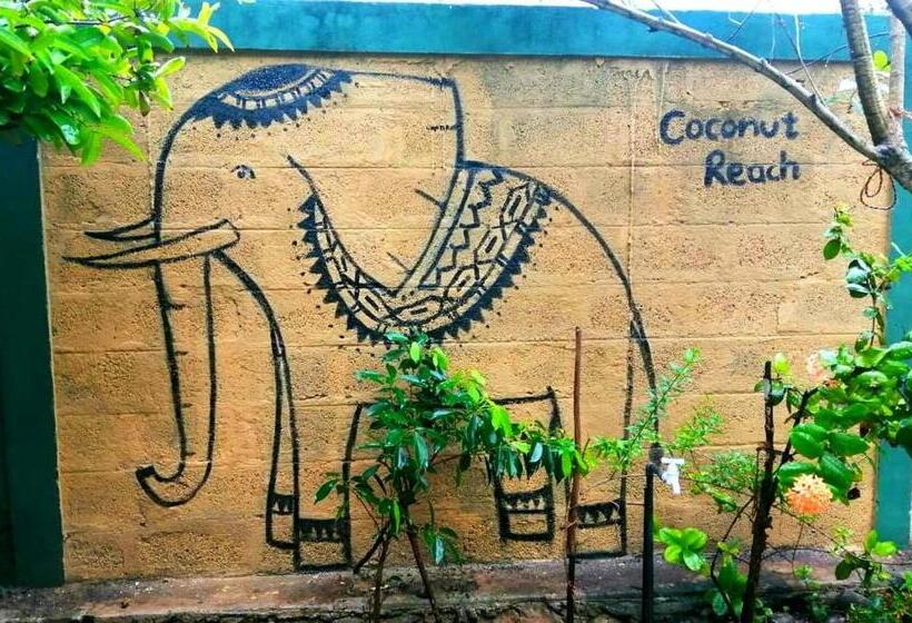 膳宿费 Coconut Reach