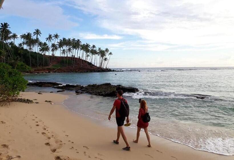 膳宿费 Coconut Reach