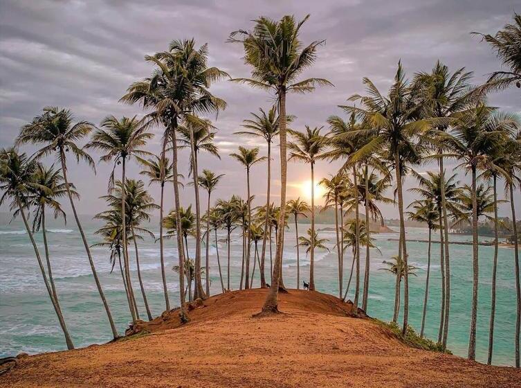 膳宿费 Coconut Reach