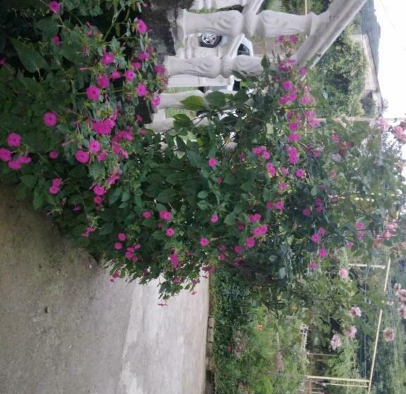 پانسیون Guest House Maka