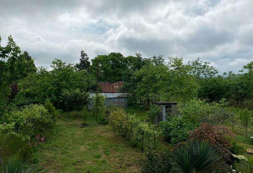 پانسیون Natia Guest House