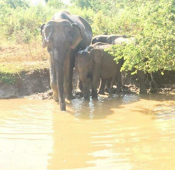 بنسيون Sunrise Safari House