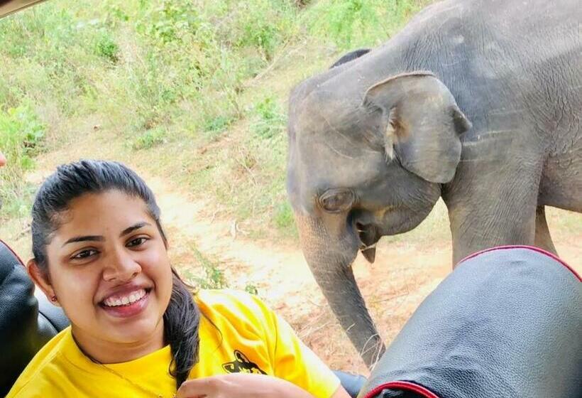 بنسيون Sunrise Safari House