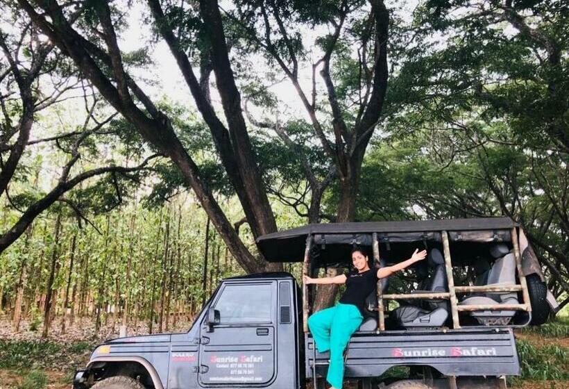 بنسيون Sunrise Safari House