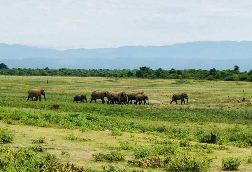 بنسيون Sunrise Safari House