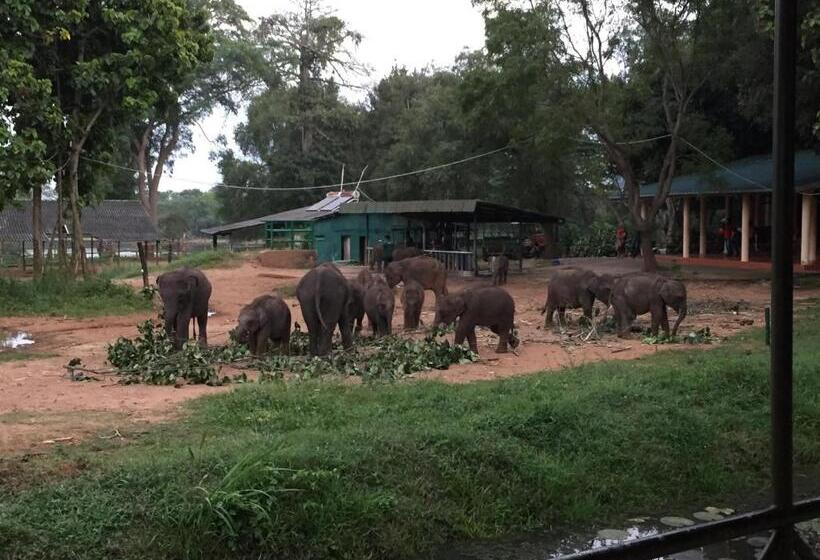 بنسيون Sunrise Safari House