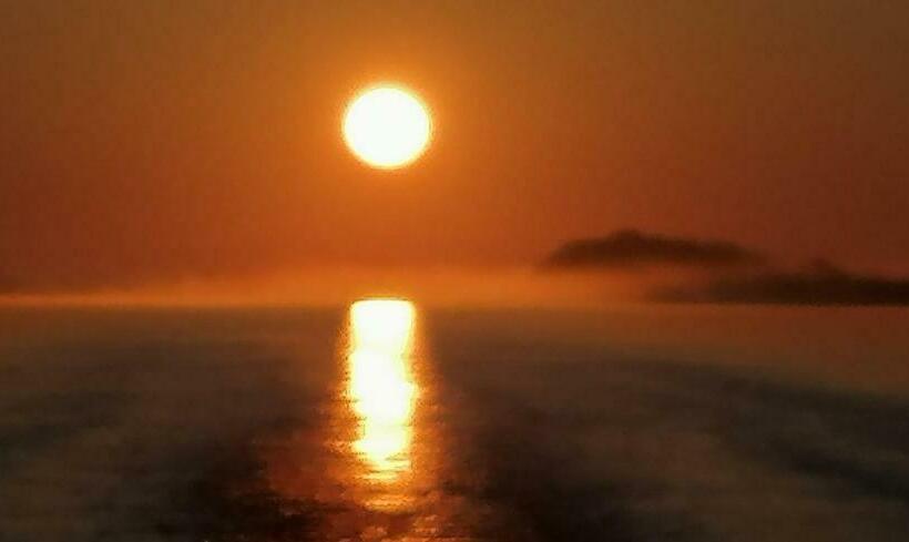 Pensiunea Alessia Murighiol