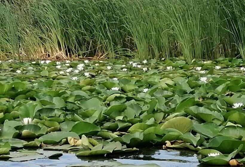 Pensiunea Alessia Murighiol