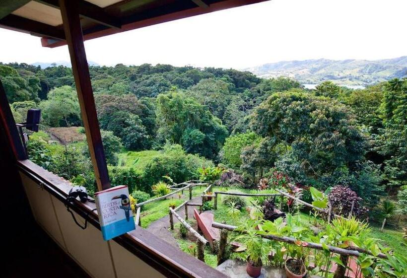 Toucan Lane Hotel And Restaurant