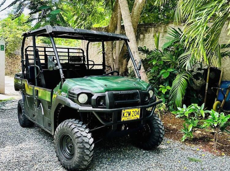 ユースホステル Palmare House