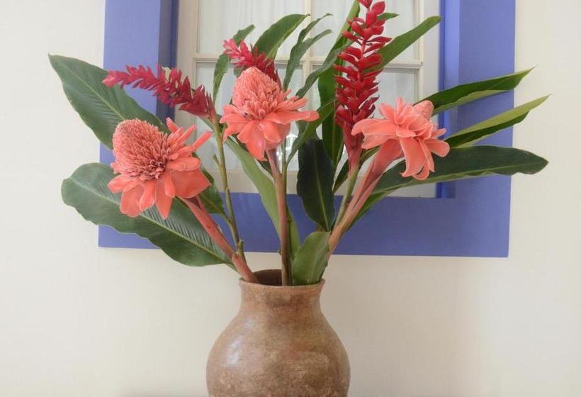 ユースホステル Pousada Casa De Paraty