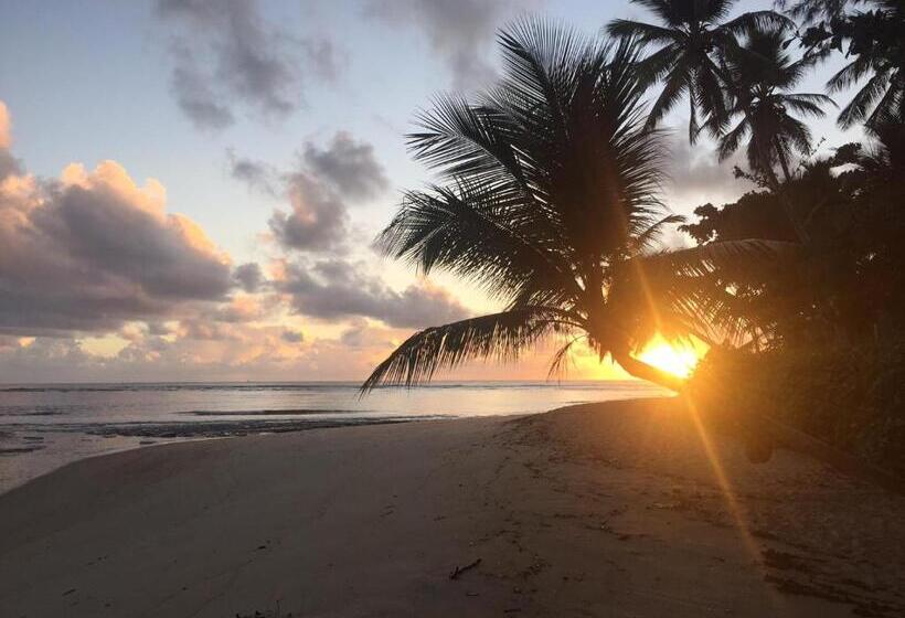 هاستل Pousada Vila Sereia